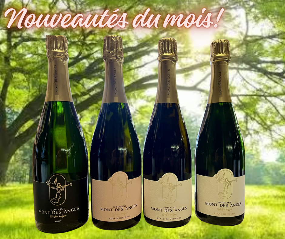 NOUVEAUTES DU MOIS (2)